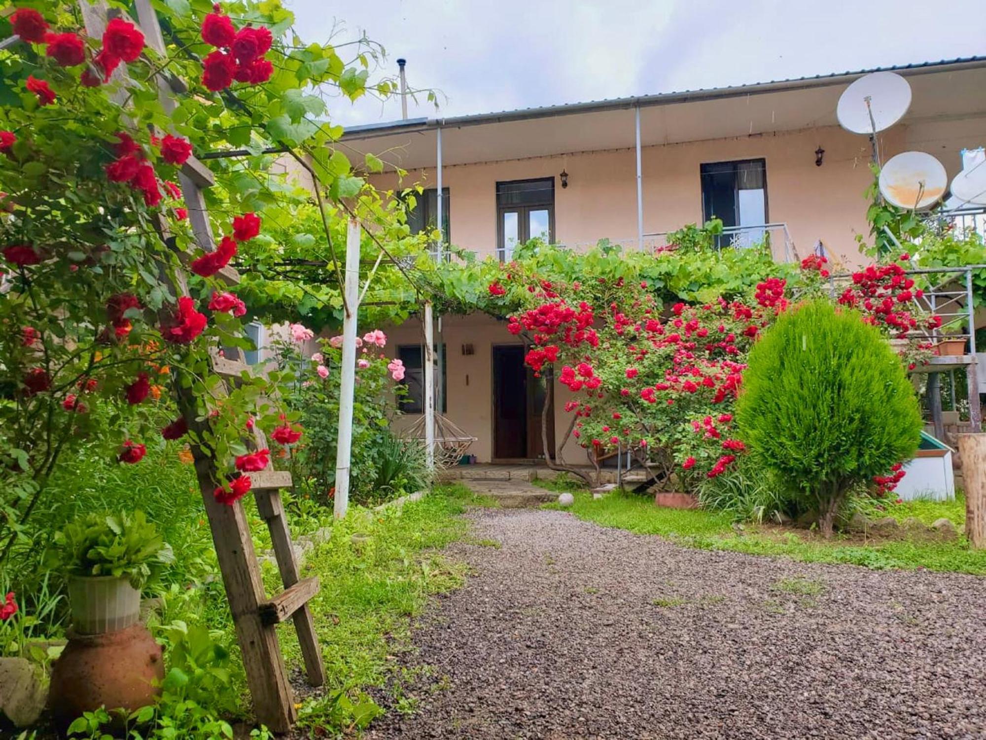 Guesthouse Mtkvari Nakalakevi Luaran gambar