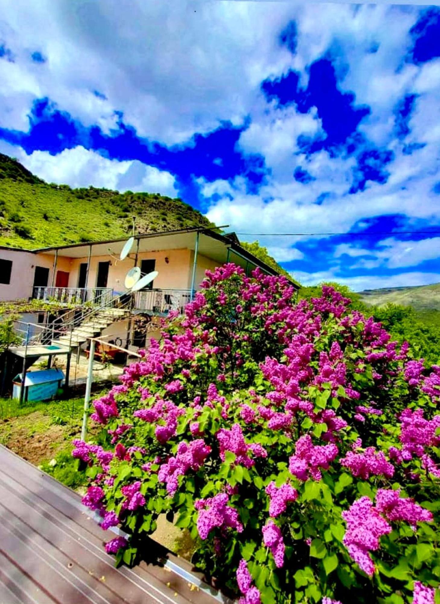 Guesthouse Mtkvari Nakalakevi Luaran gambar